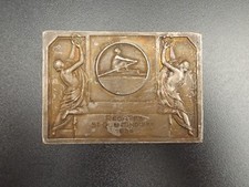 RARE médaille / plaque