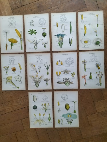 Planches lithos - planches,