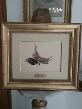 Dessin original d'Edouard TRAVIES  (1809-1869)