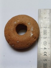 Rouelle gauloise en terre