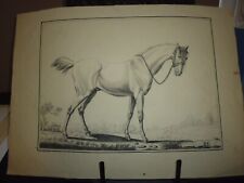 Gravure cheval in- f par E. Duplessis dédié à Monsieur Durancy 1810 signé DP