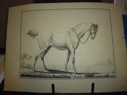Gravure cheval par e - in-,