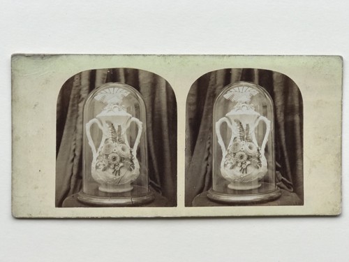 Nature morte still life - still, vase