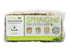 Sphaigne chilienne en fibres