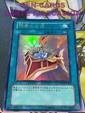 CARTE Yu Gi Oh Fardeau du