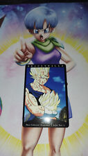 Carte 251 Dragon Ball Z Hero