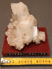 Gypse. Halite. Pologne. 8cm Par 6cm
