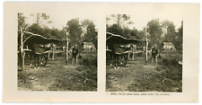 Stereo, France, Ville sous bois, Abri pour les chevaux Vintage stereo card -