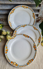 3 ANCIENNES ASSIETTES PLATES ST AMAND CERANORD DECORD DE FRUITS "COTENTIN"