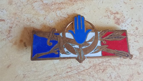 Insigne afn forces - insigne,