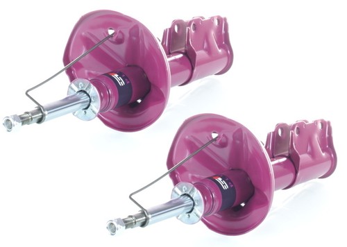 Amortisseur pro gaz - 2x,