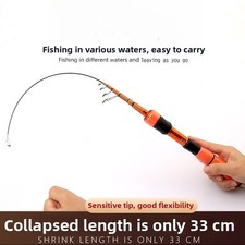 Canne à pêche télescopique