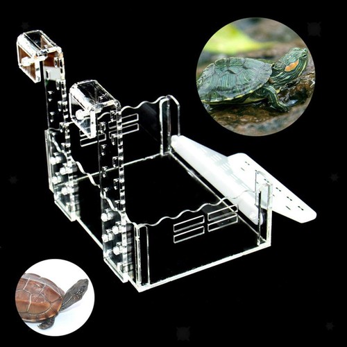 Décoration aquarium avec - d'aquarium,