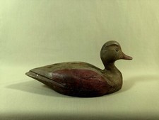 Bel Appelant Ancien en Bois Sculpté Canard Siffleur, Chasse Hutte, Tonne, Gabion