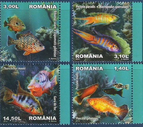 Roumanie 2012 tropical - roumanie,
