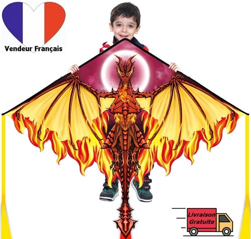 Cerf volant dragon pour - cerf-volant,