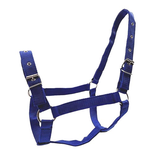Licol cheval nylon ajustable - licol,
