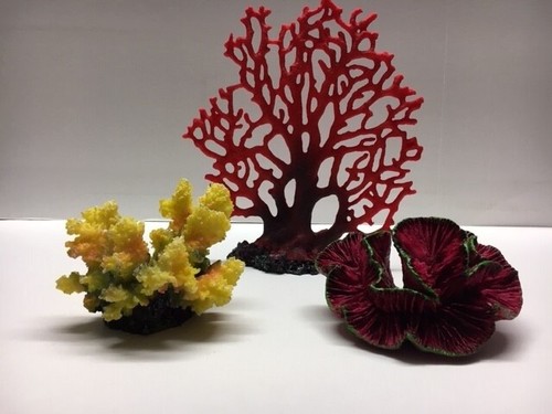 Corail aquarium reef - corail, d'aquarium