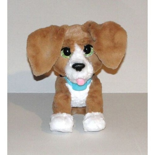 Filo mon chien bavard - mon,