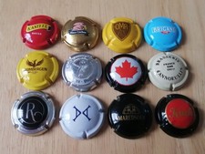 Lot de 12 capsules de Bières diverses format quart