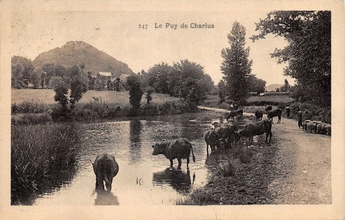 Puy charlus n - 19-le, de