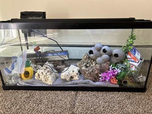 Aquarium set - set, up