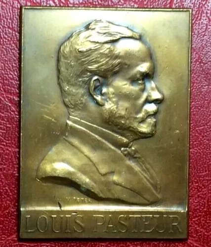 Louis pasteur microbiologiste - louis,