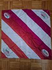 Foulard Soie Rugby World Cup