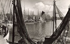 29 CONCARNEAU THONIERS AU PORT