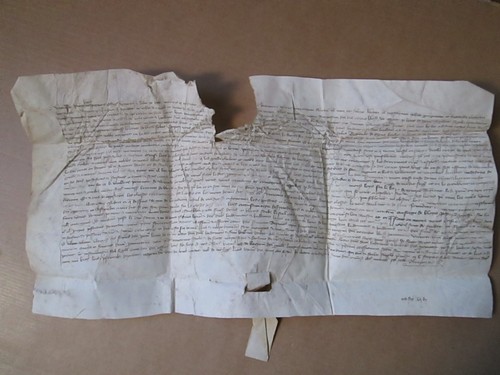 Doc 1397 assignation loys - 1397,