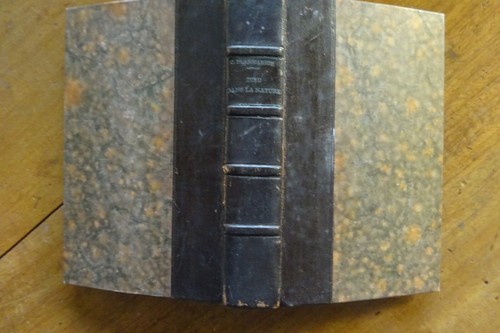 Camille flammarion dieu - flammarion,