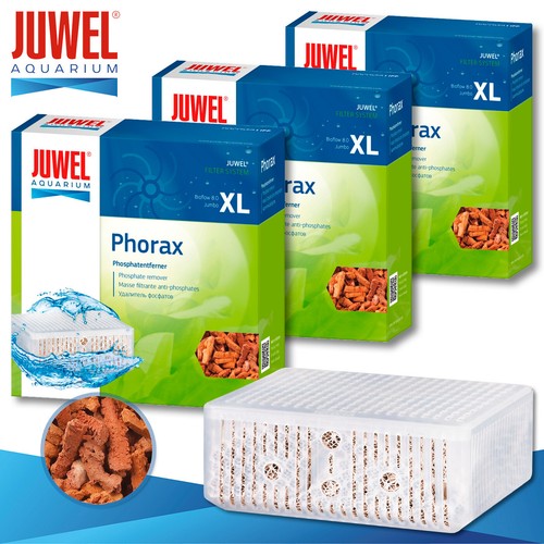 Juwel phorax décapant - x, de