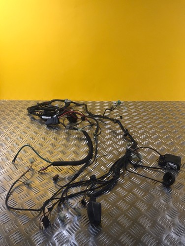 Faisceau électrique pour