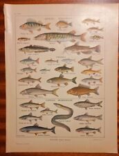 1921, POISSONS D'EAU DOUCE planches couleur LAROUSSE AGRICOLE