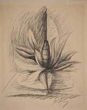 Franz PRIKING - Fleur : L'éclosion - Héliogravure signée #Etude