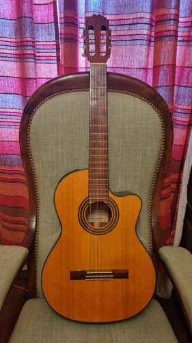 Superbe guitare takamine nylon - guitare,