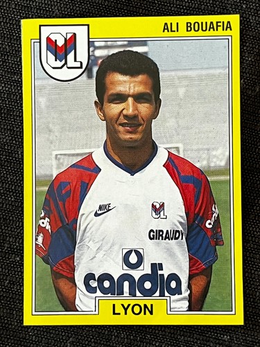 Vignette sticker panini - vignette,