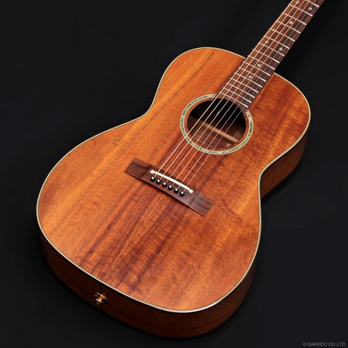 Takamine ptu431k - ptu431k, (2011)