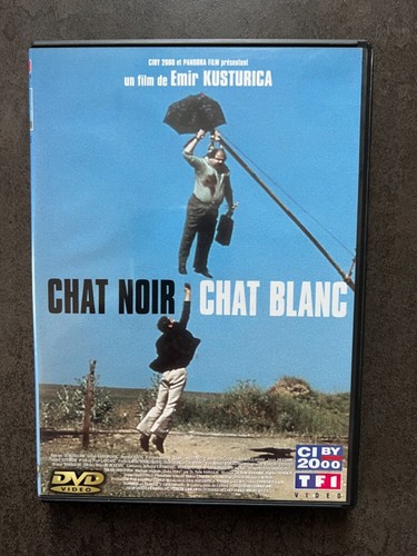 Dvd chat noir blanc - dvd,