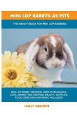 Lolly Brown Mini Lop Rabbits as Pets (Poche)