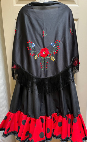 Flamenco dance outfit 4 - dance,