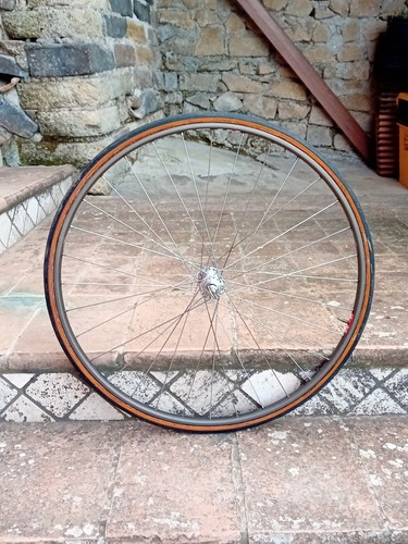 Campagnolo super record nisi - record,