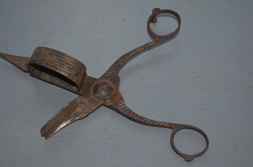 Ancien ciseaux mouchette - ciseaux, à