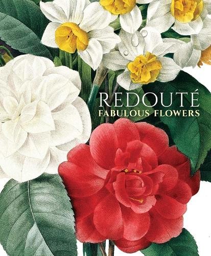 Pierre joseph redoute - pierre-joseph,
