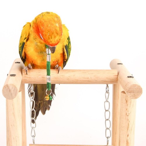 Harnais réglable pour oiseau
