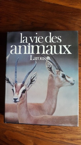 Vie des animaux - vie,