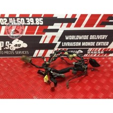 Faisceau électrique principale Honda CBR 954 RR Fireblade 2002 à 2003