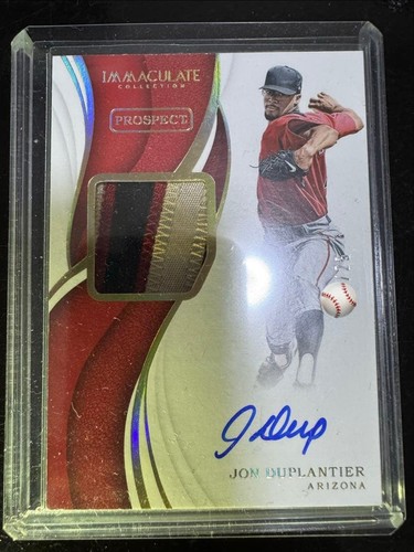 Panini 2019 duplantier - 2019, patch