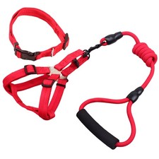  3 Pcs/set Laisse Chiot De Dressage Pour Chien Colliers Chiots Corde Traction