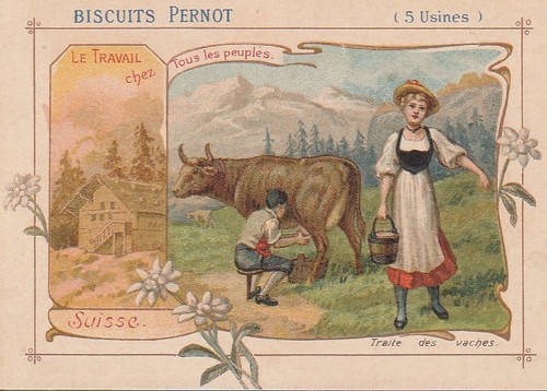 Chromo biscuits pernot - biscuits, /